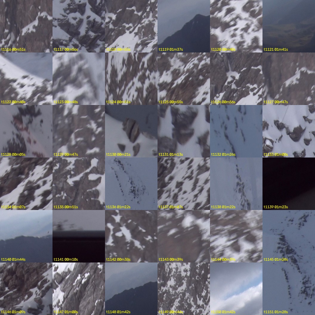 montage_31.jpg
