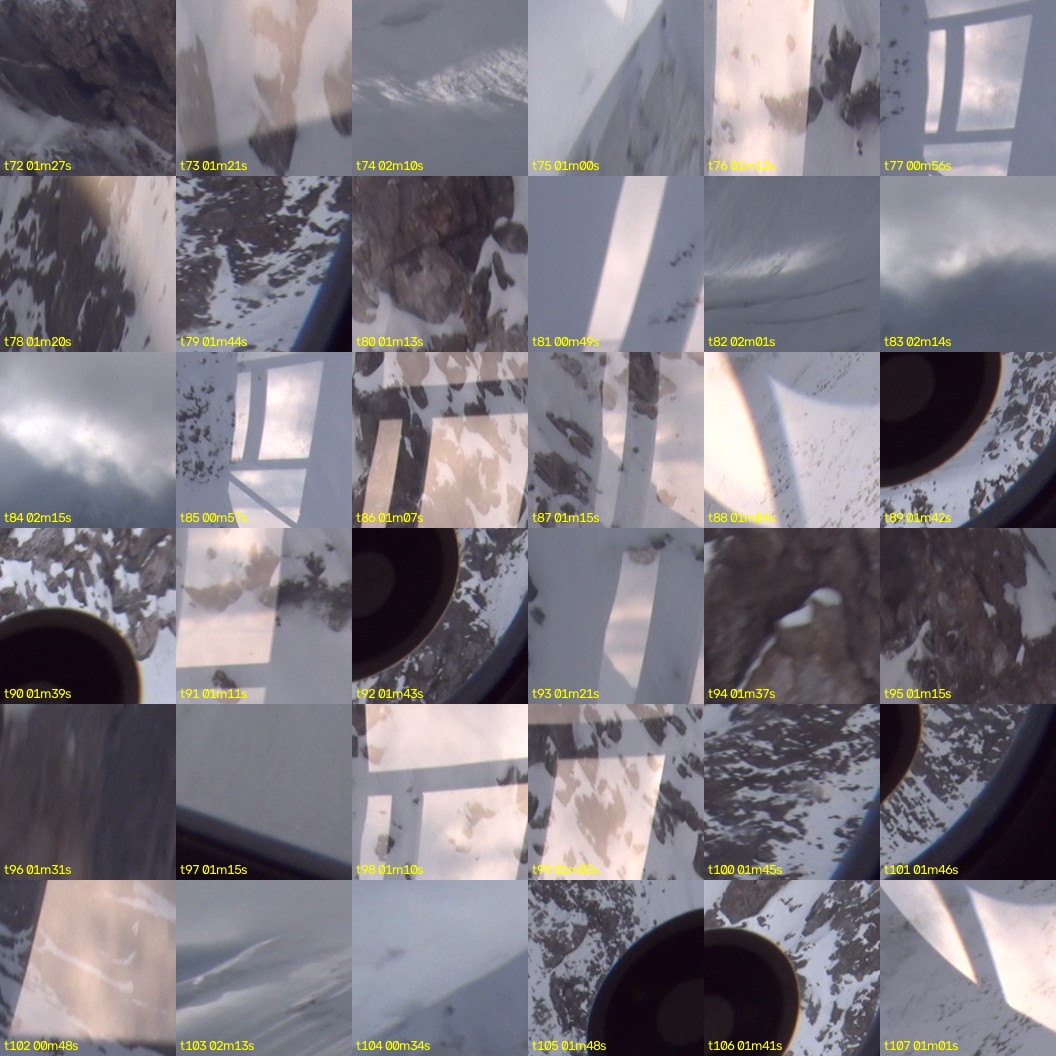 montage_02.jpg