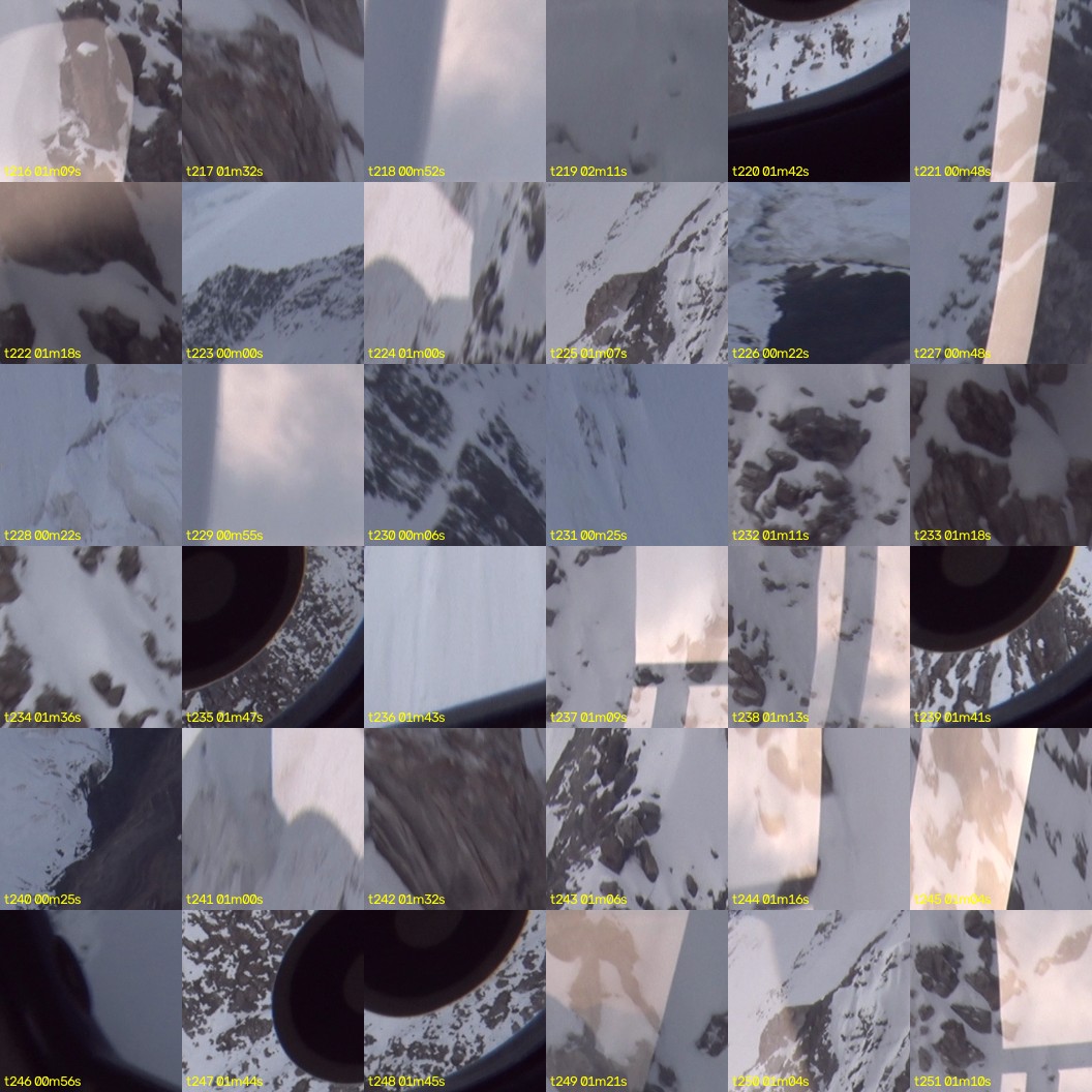 montage_06.jpg
