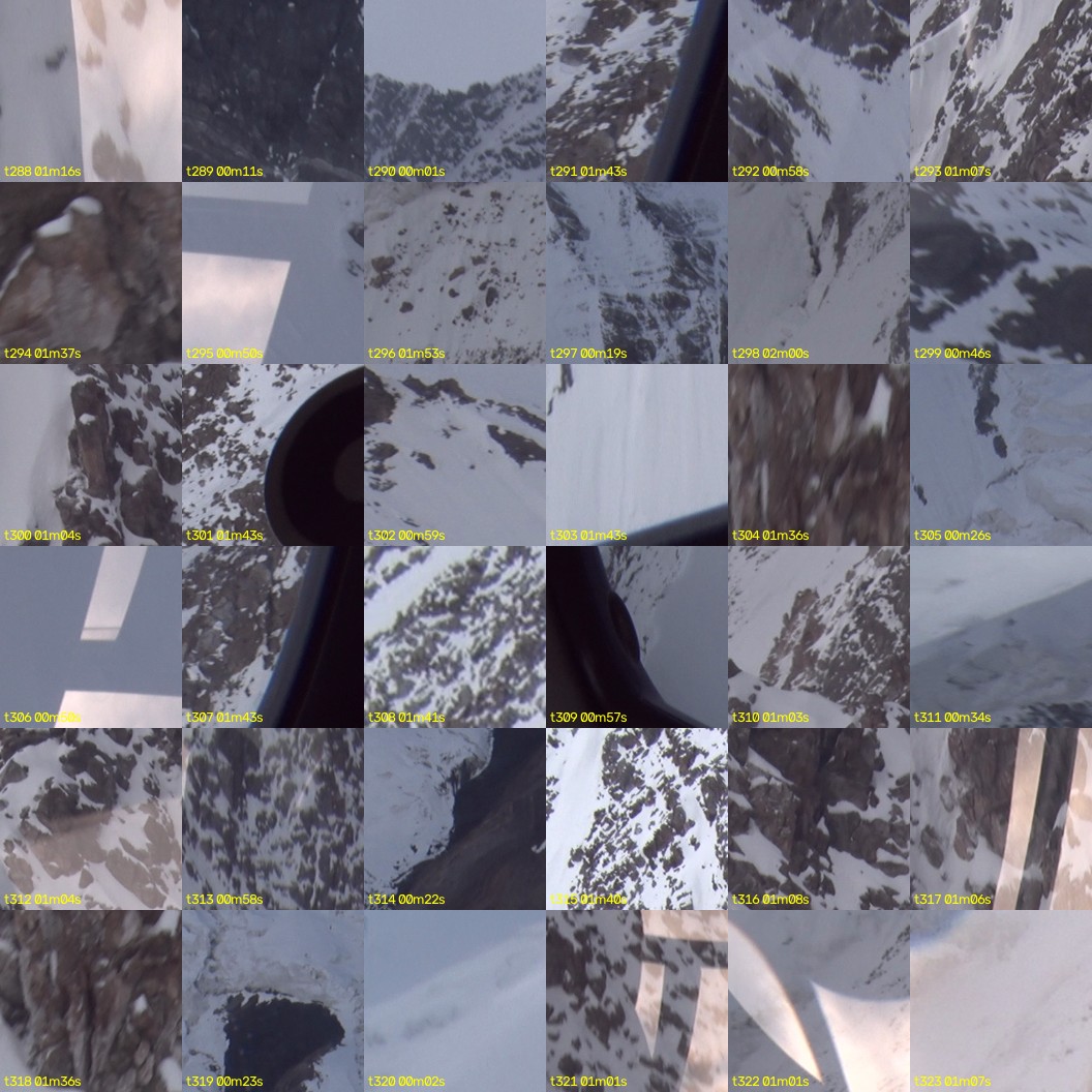 montage_08.jpg
