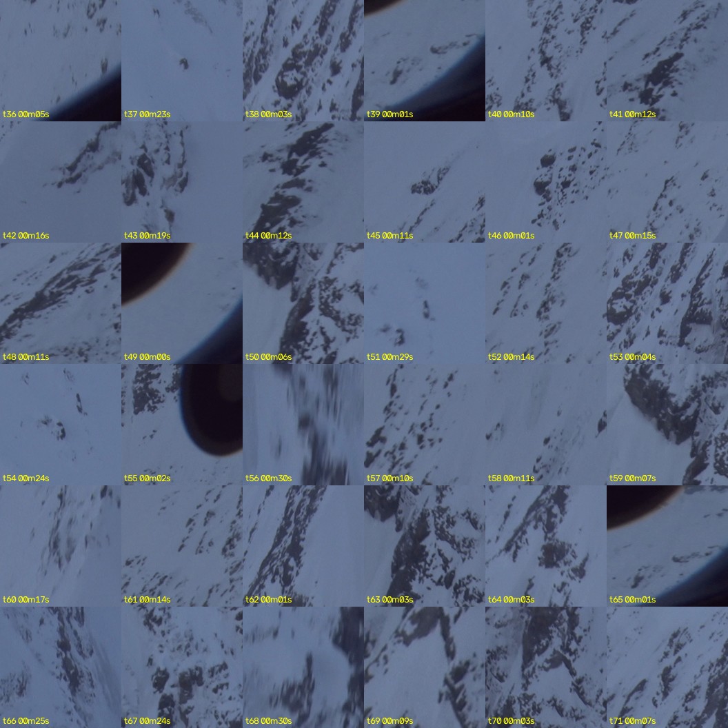 montage_01.jpg