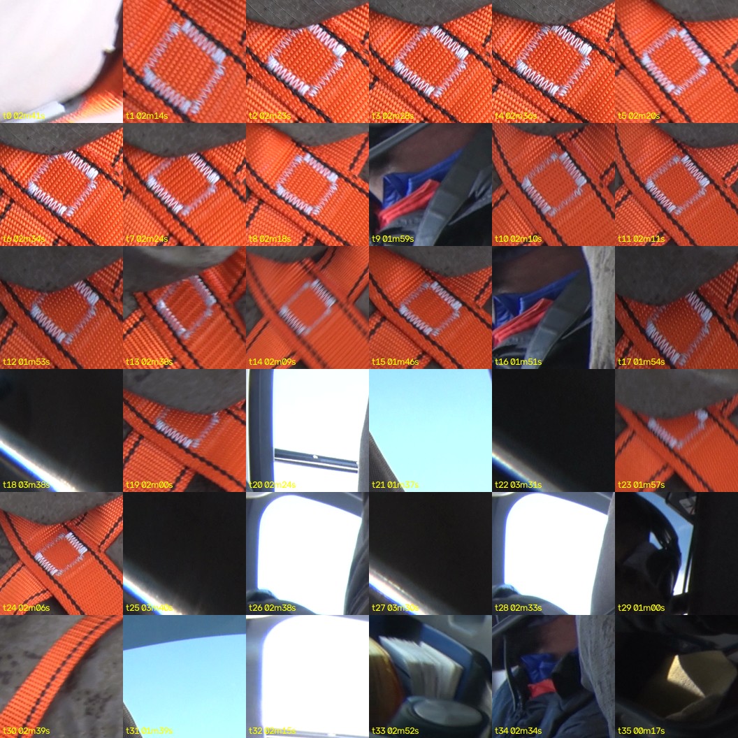 montage_00.jpg
