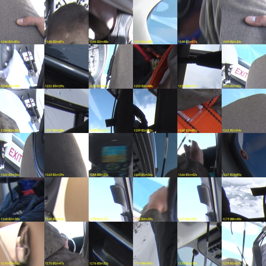 montage_04.jpg
