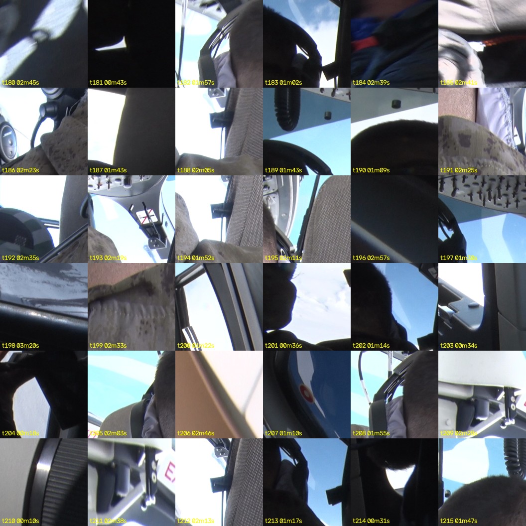 montage_05.jpg