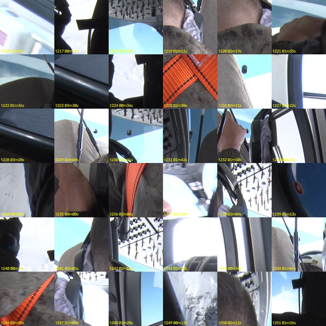 montage_06.jpg