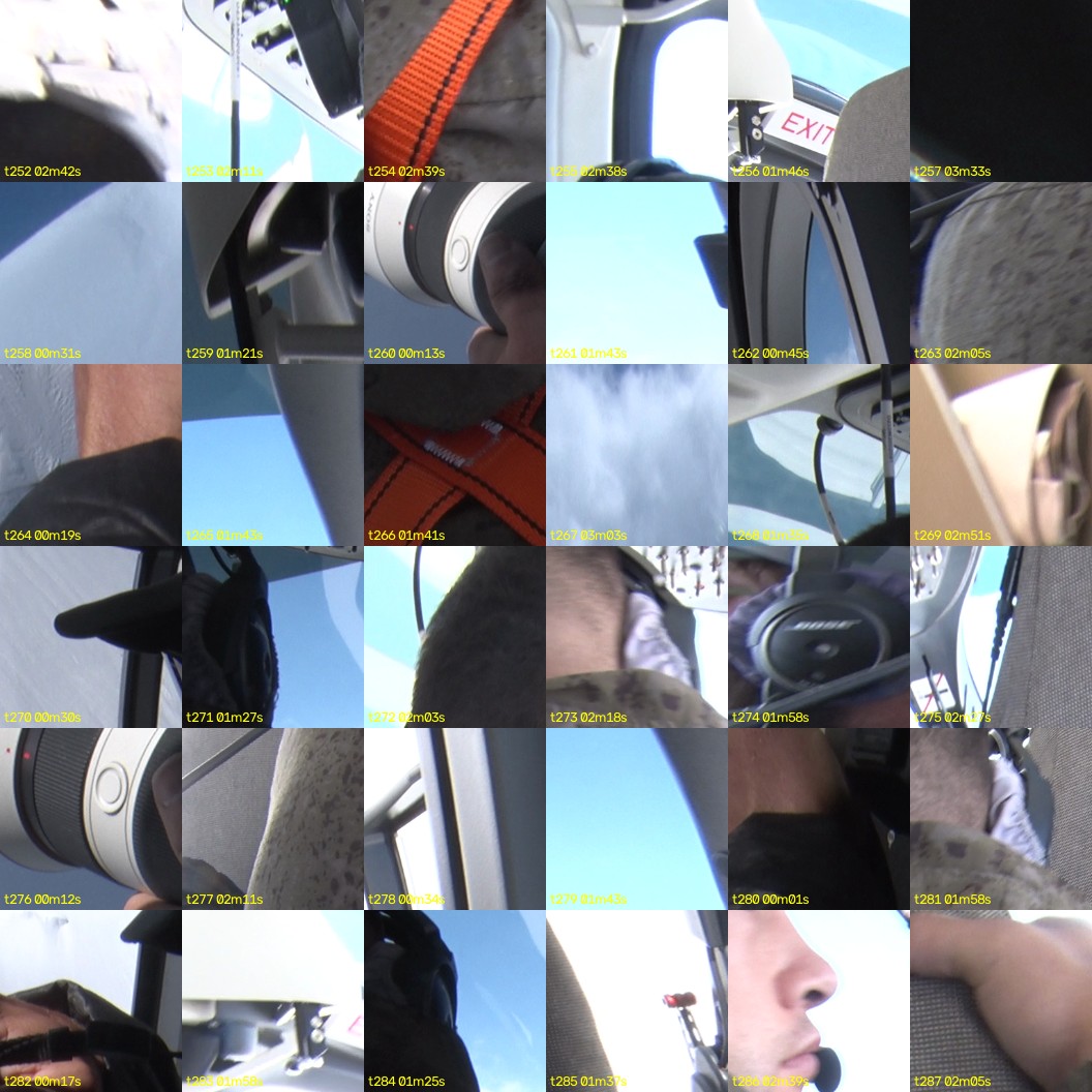 montage_07.jpg