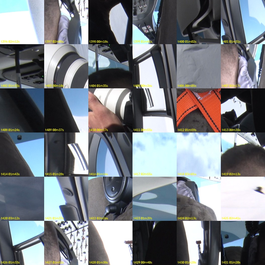 montage_11.jpg