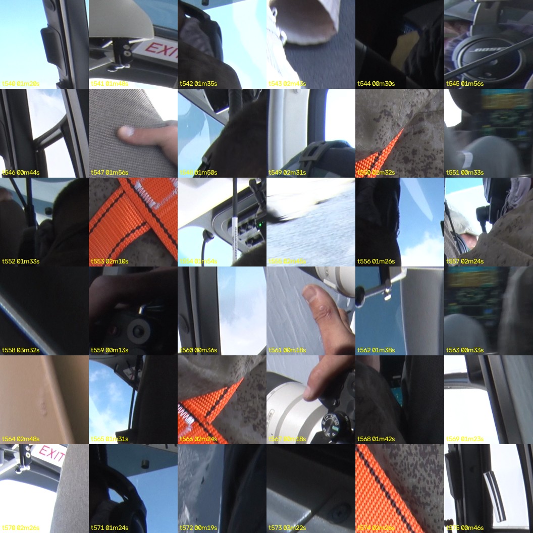 montage_15.jpg