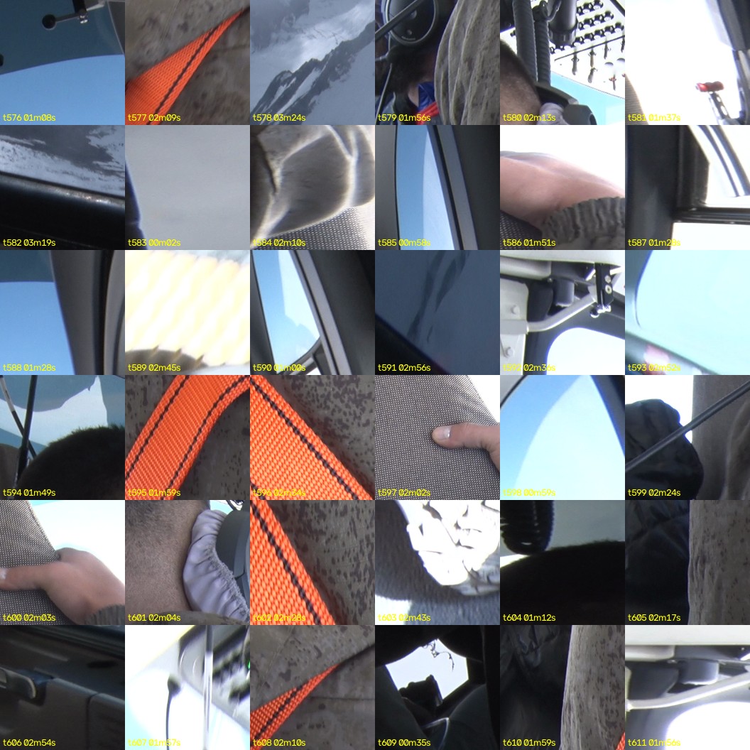 montage_16.jpg