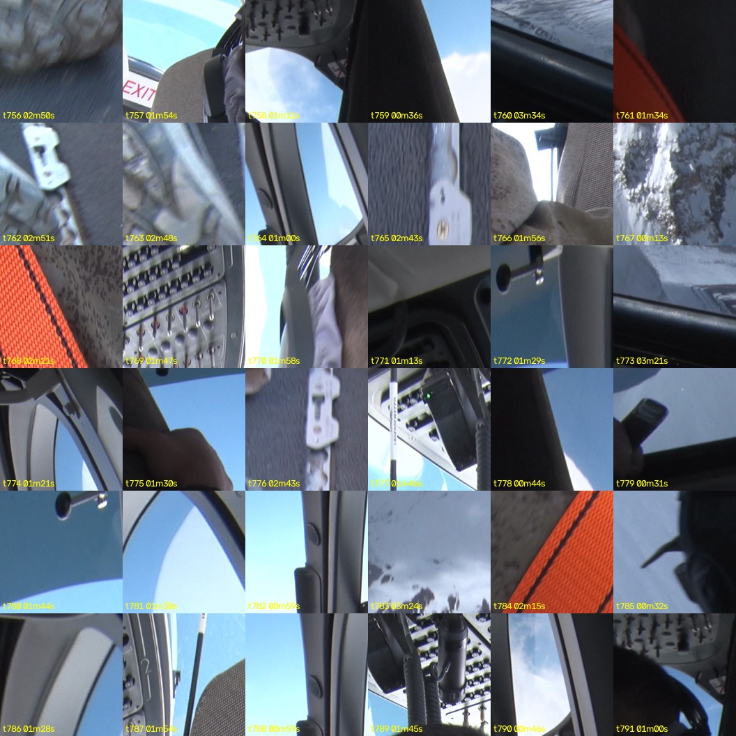 montage_21.jpg