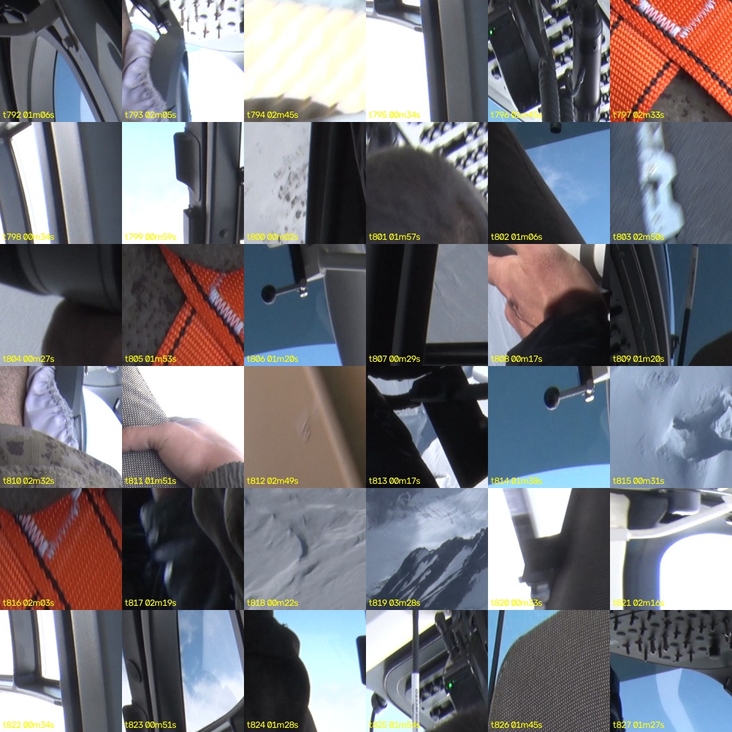 montage_22.jpg