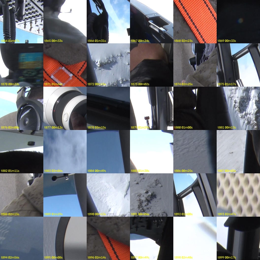 montage_24.jpg