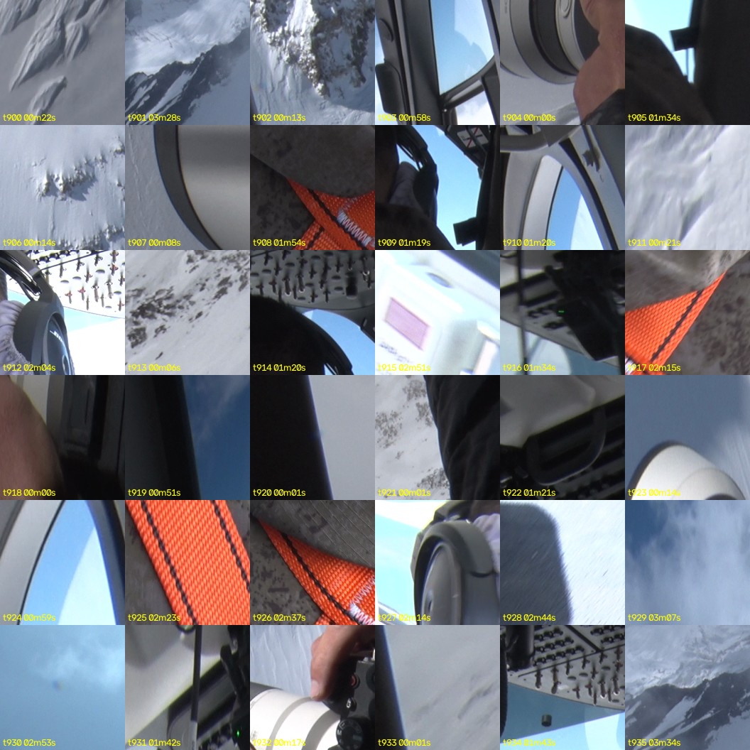 montage_25.jpg