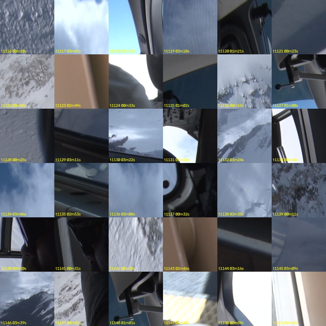 montage_31.jpg