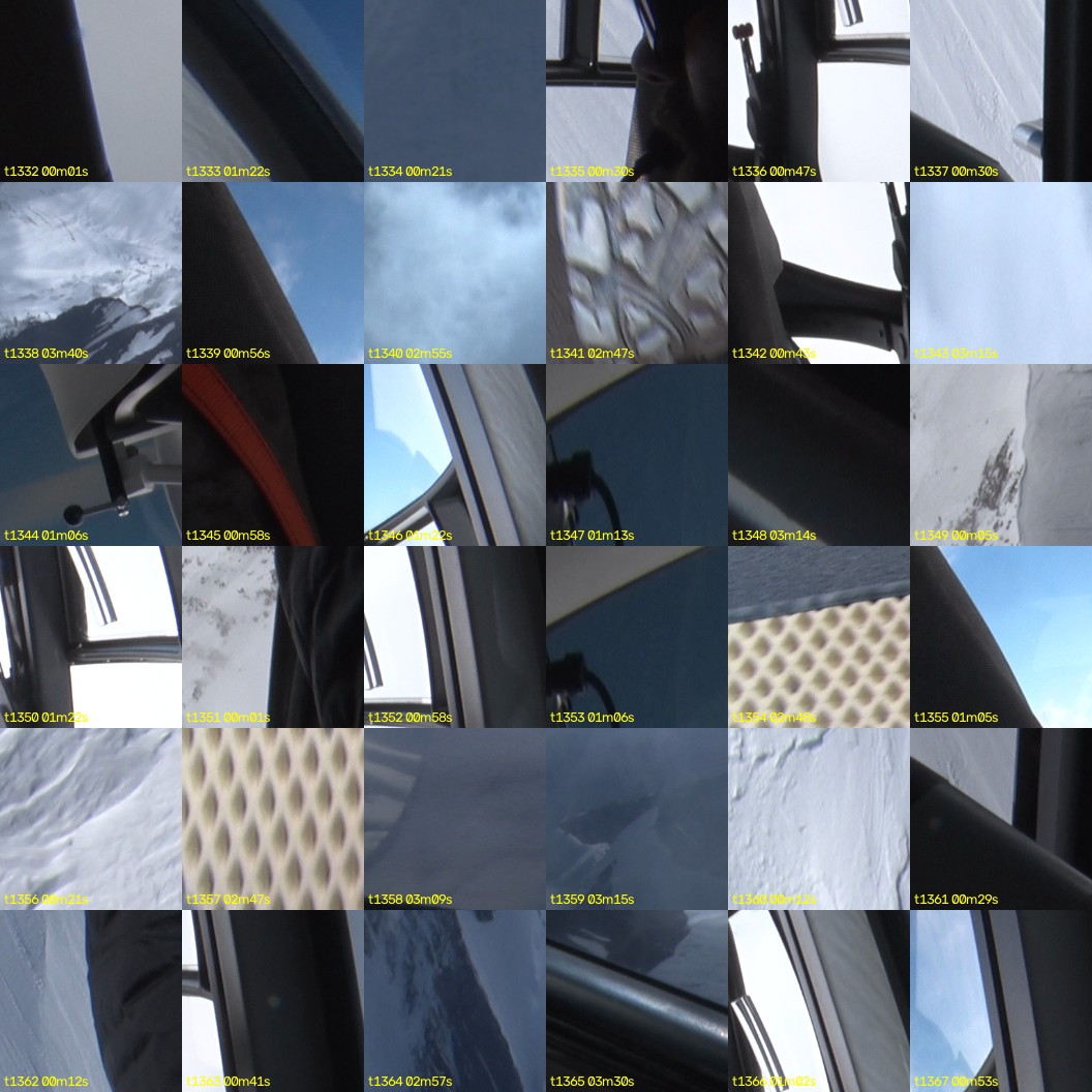 montage_37.jpg