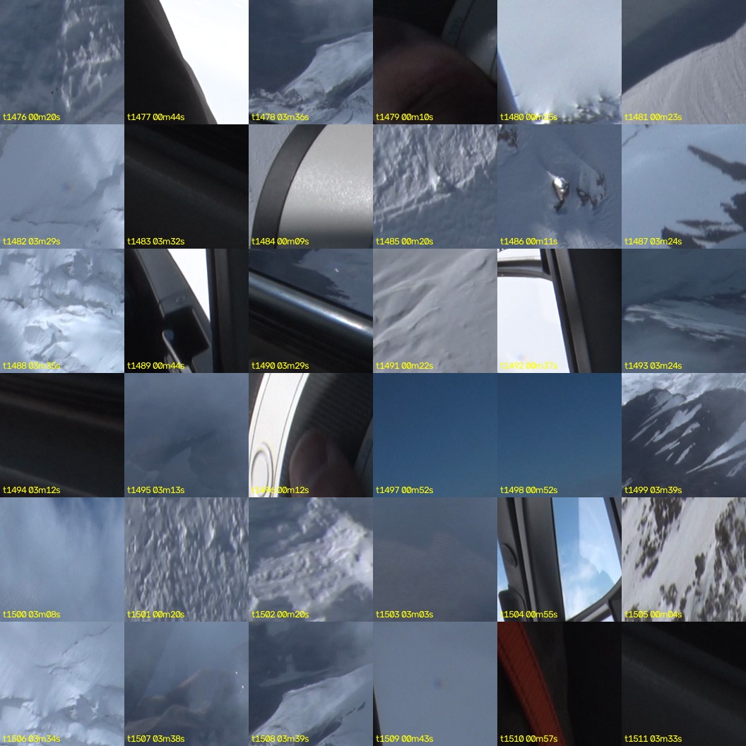 montage_41.jpg