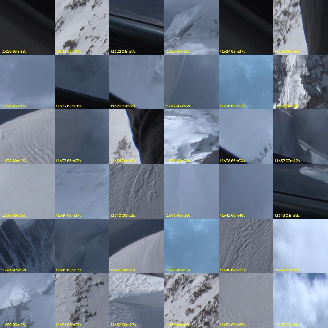 montage_45.jpg