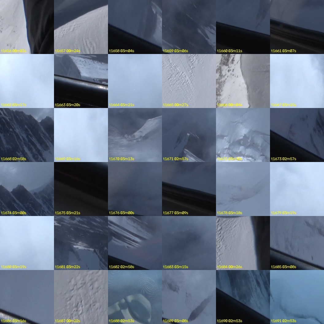 montage_46.jpg