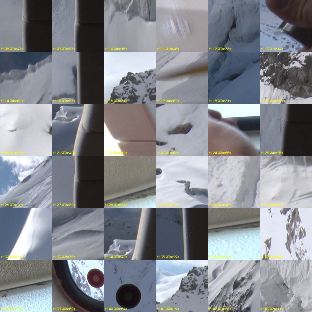 montage_03.jpg