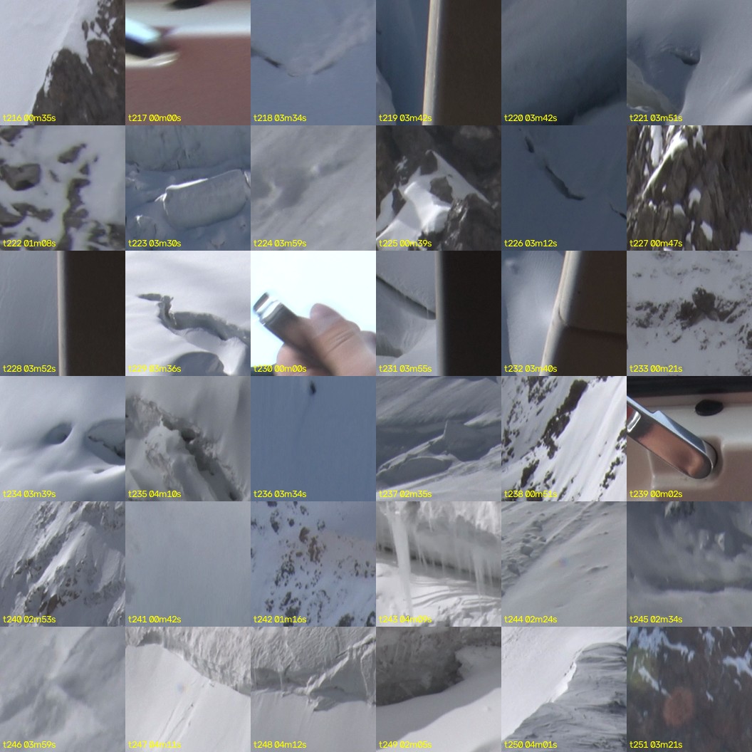montage_06.jpg