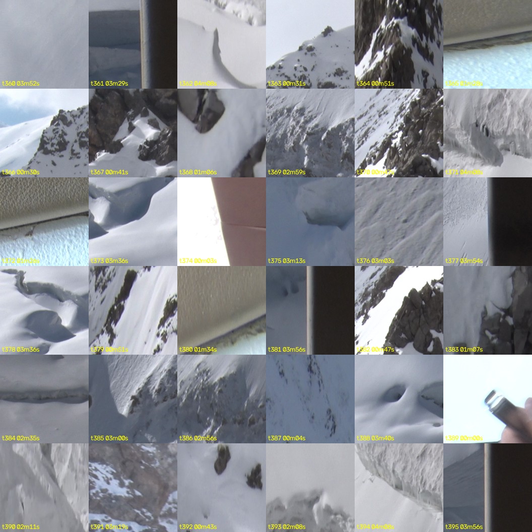 montage_10.jpg