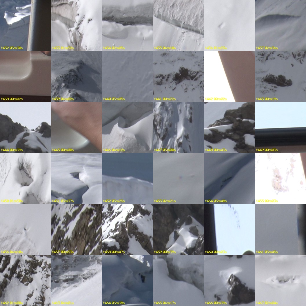 montage_12.jpg