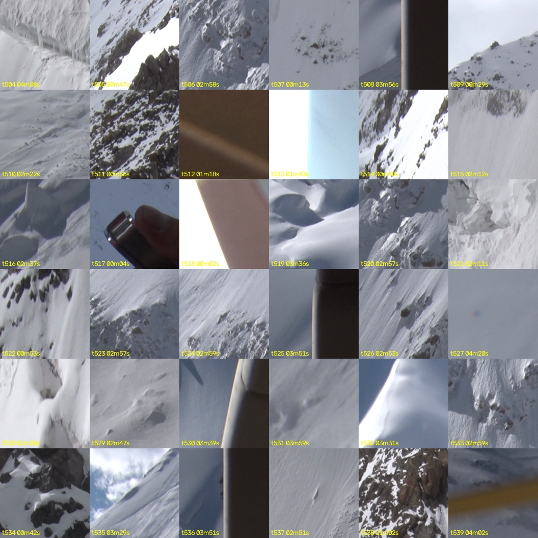 montage_14.jpg