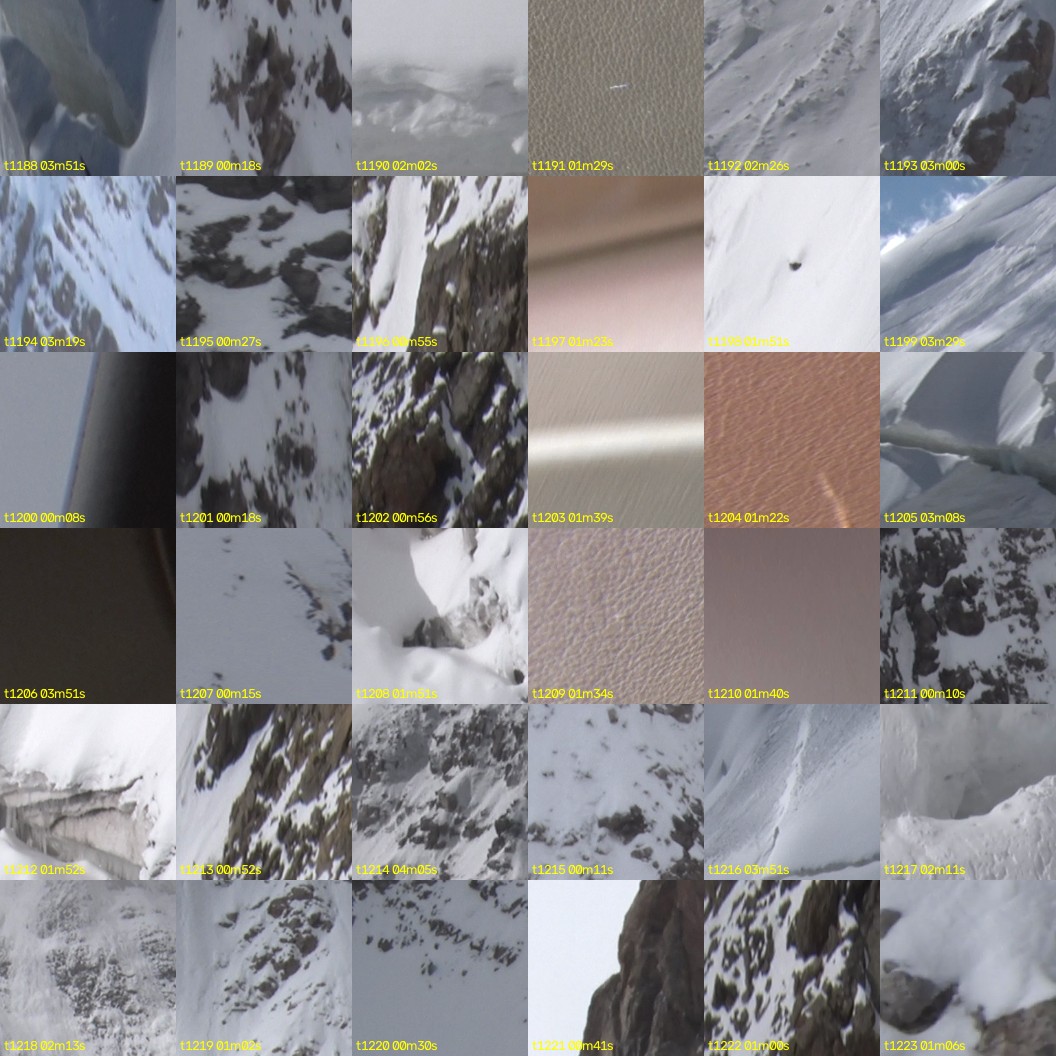 montage_33.jpg