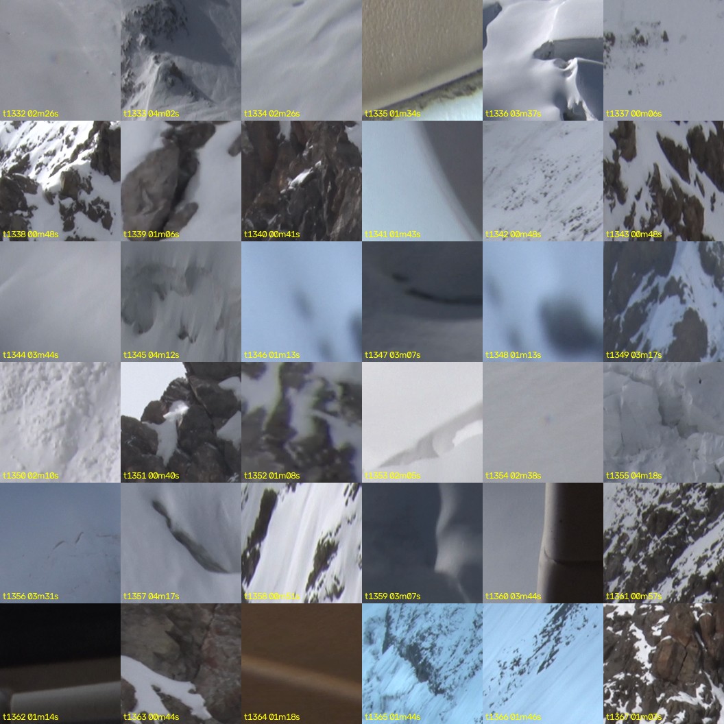 montage_37.jpg