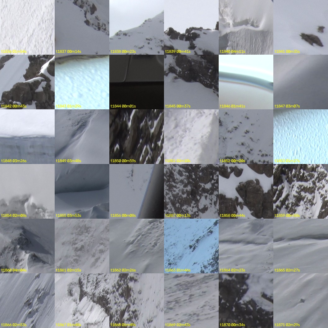 montage_51.jpg