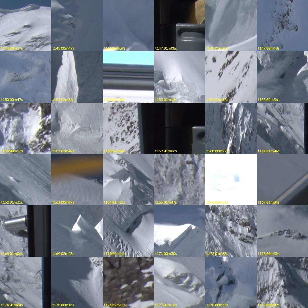 montage_04.jpg