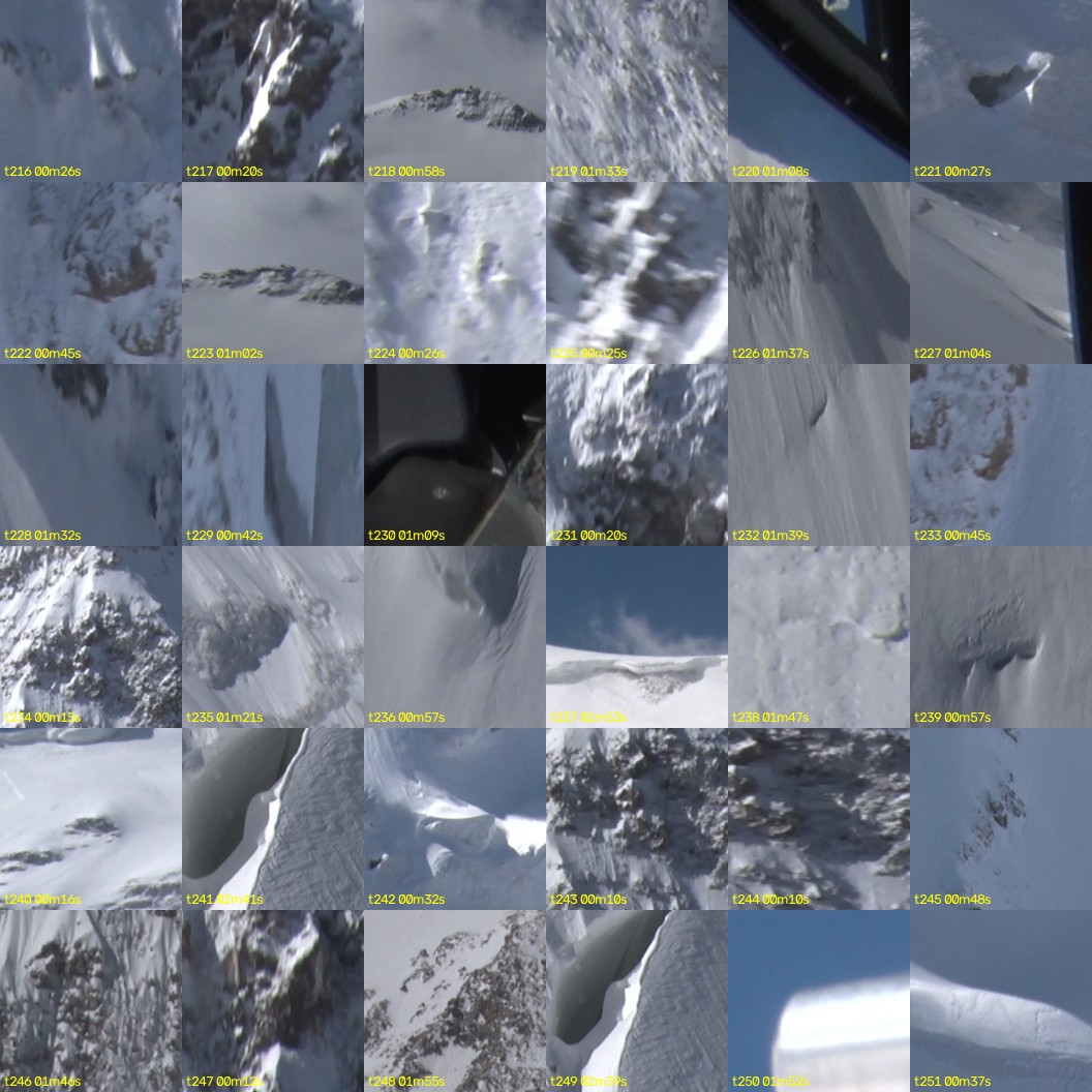montage_06.jpg