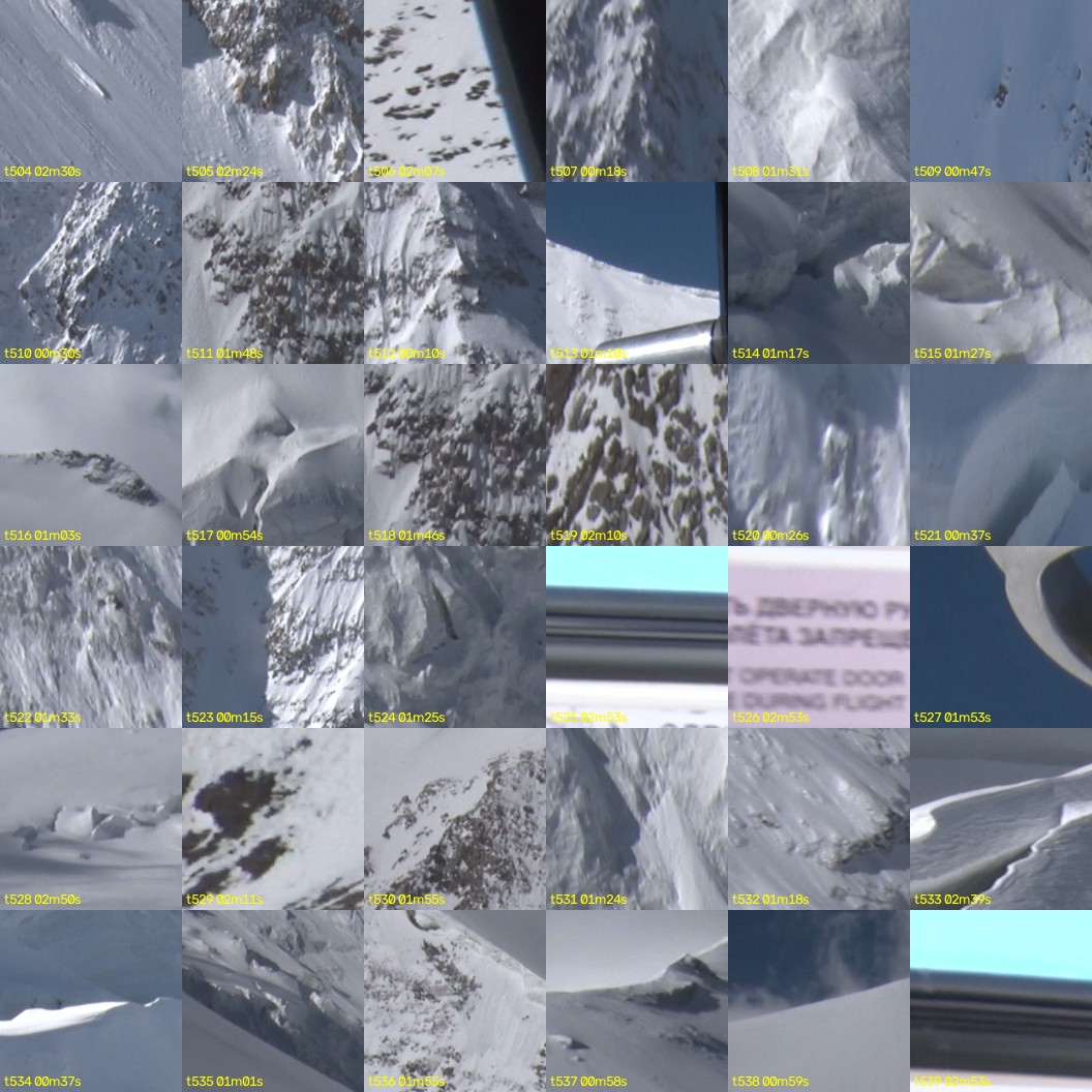 montage_14.jpg