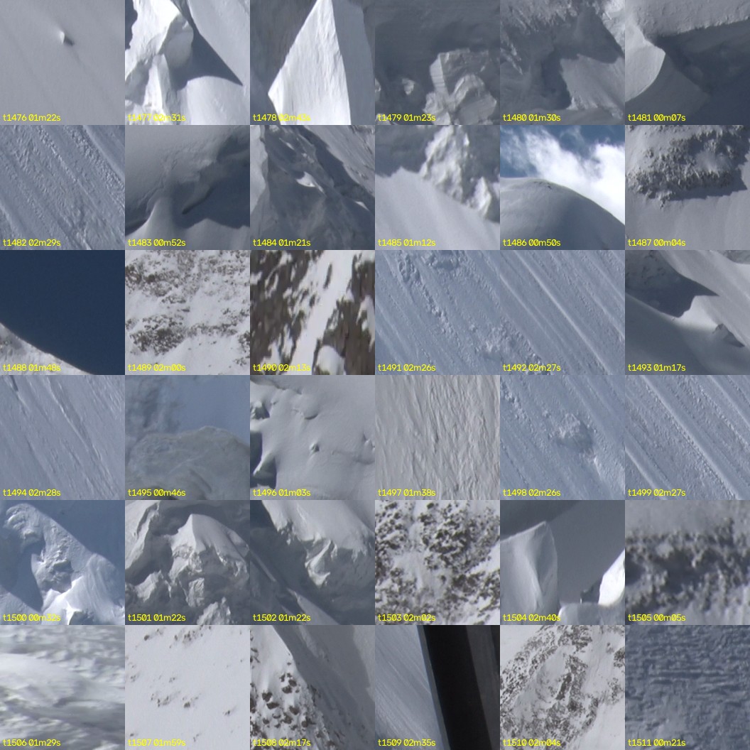 montage_41.jpg