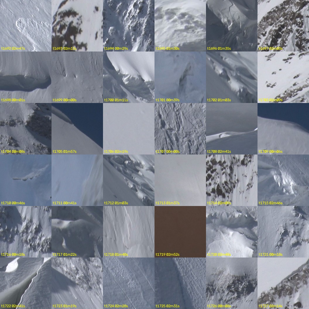 montage_47.jpg