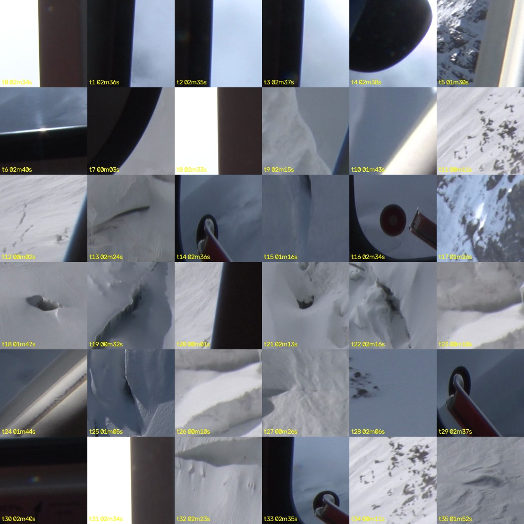 montage_00.jpg
