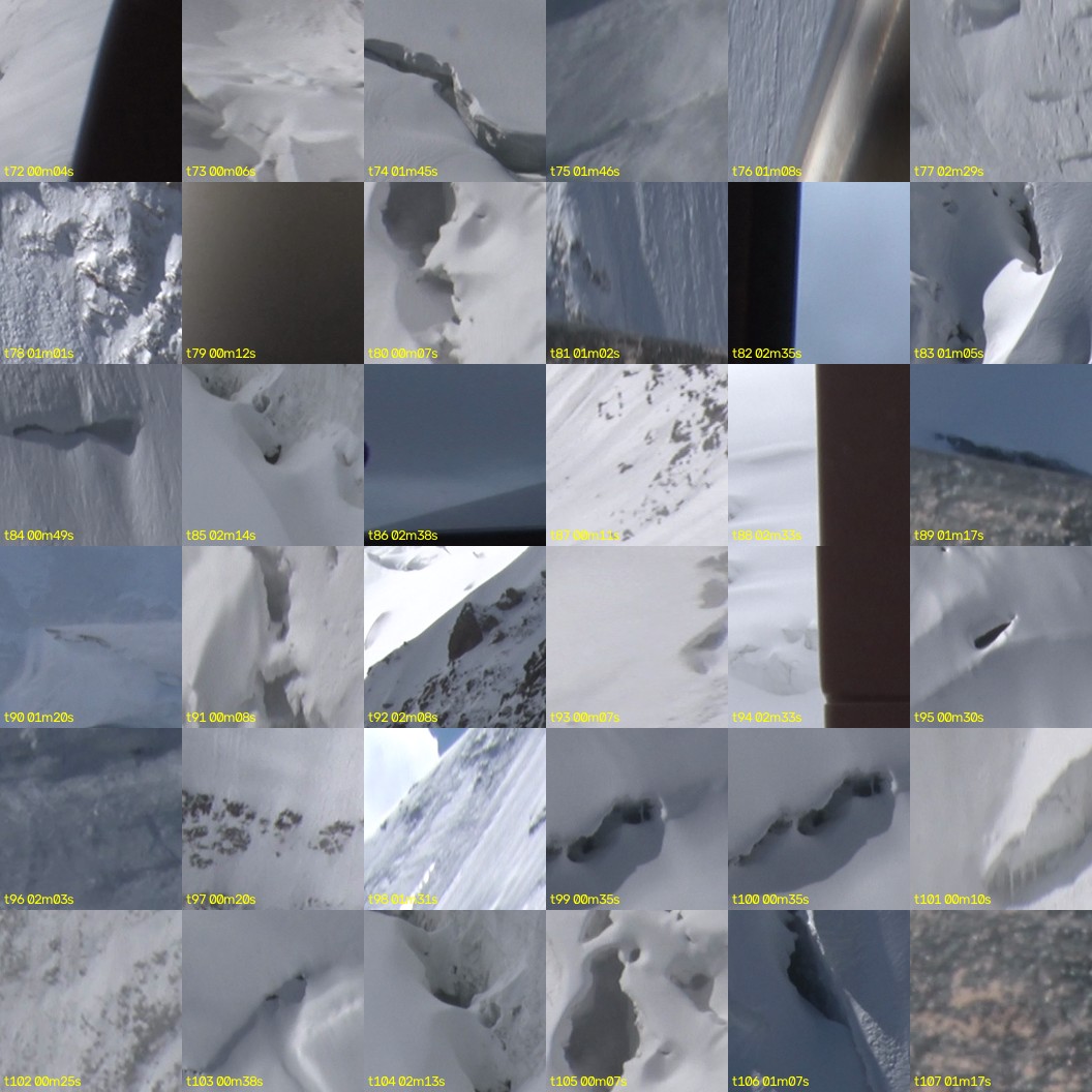 montage_02.jpg