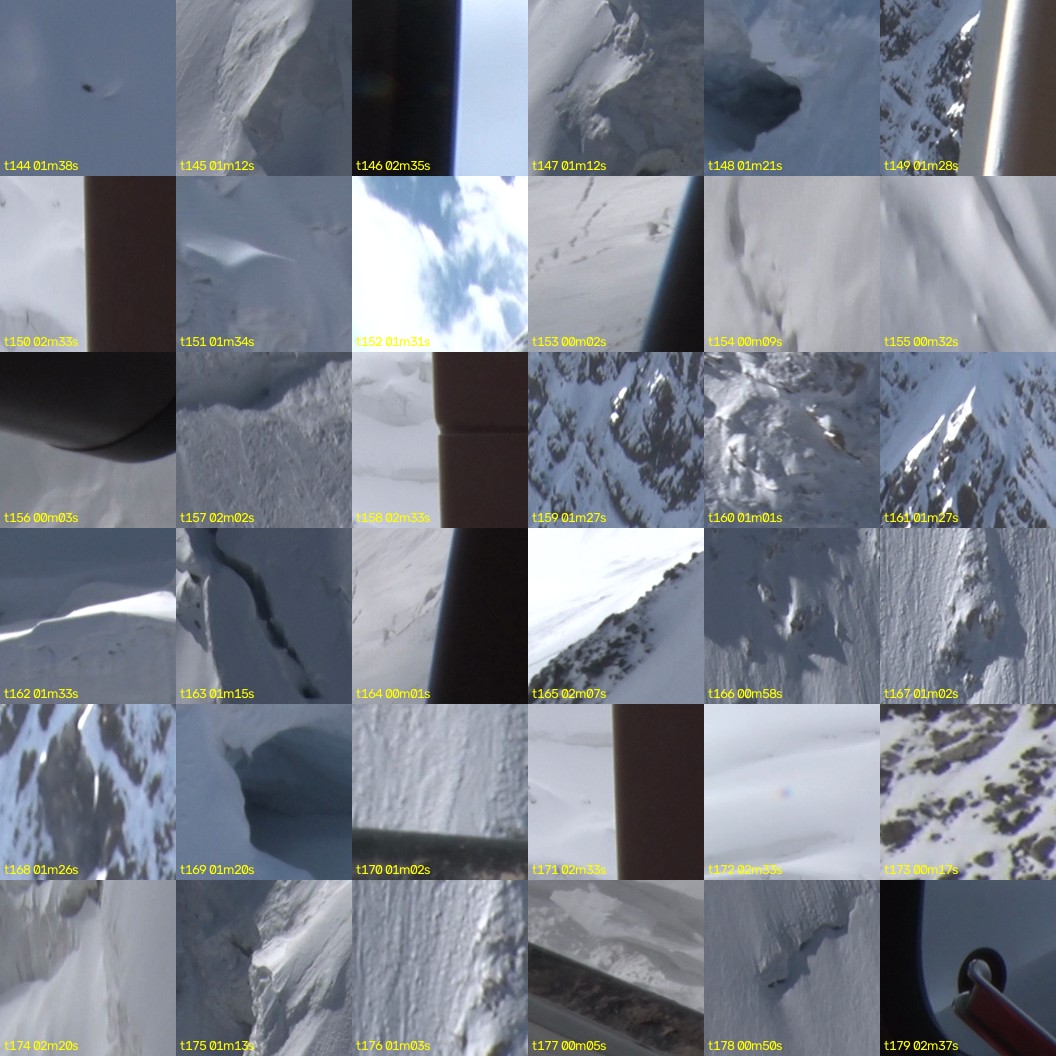 montage_04.jpg