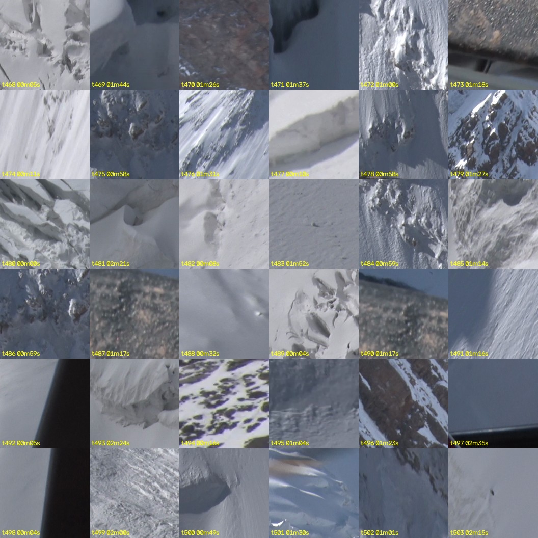 montage_13.jpg