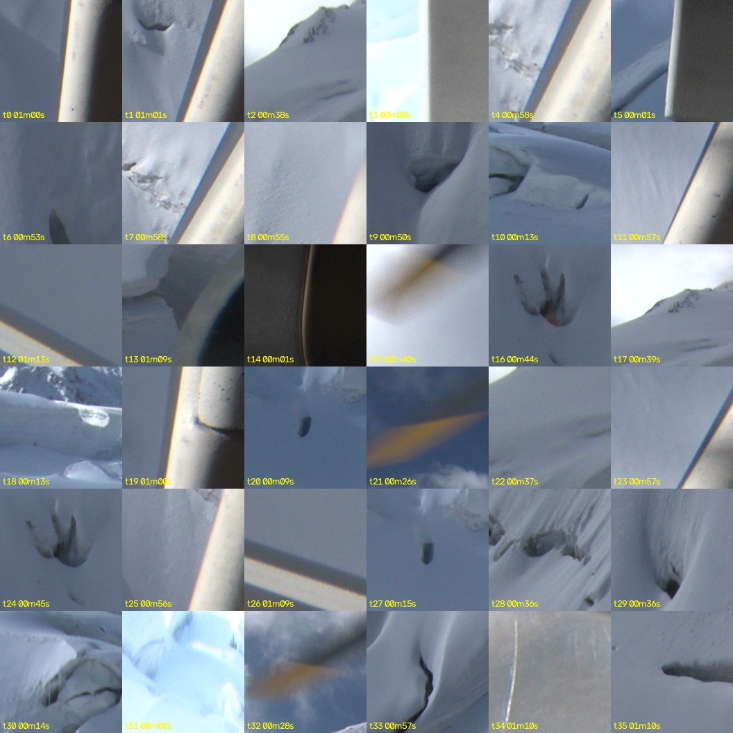 montage_00.jpg
