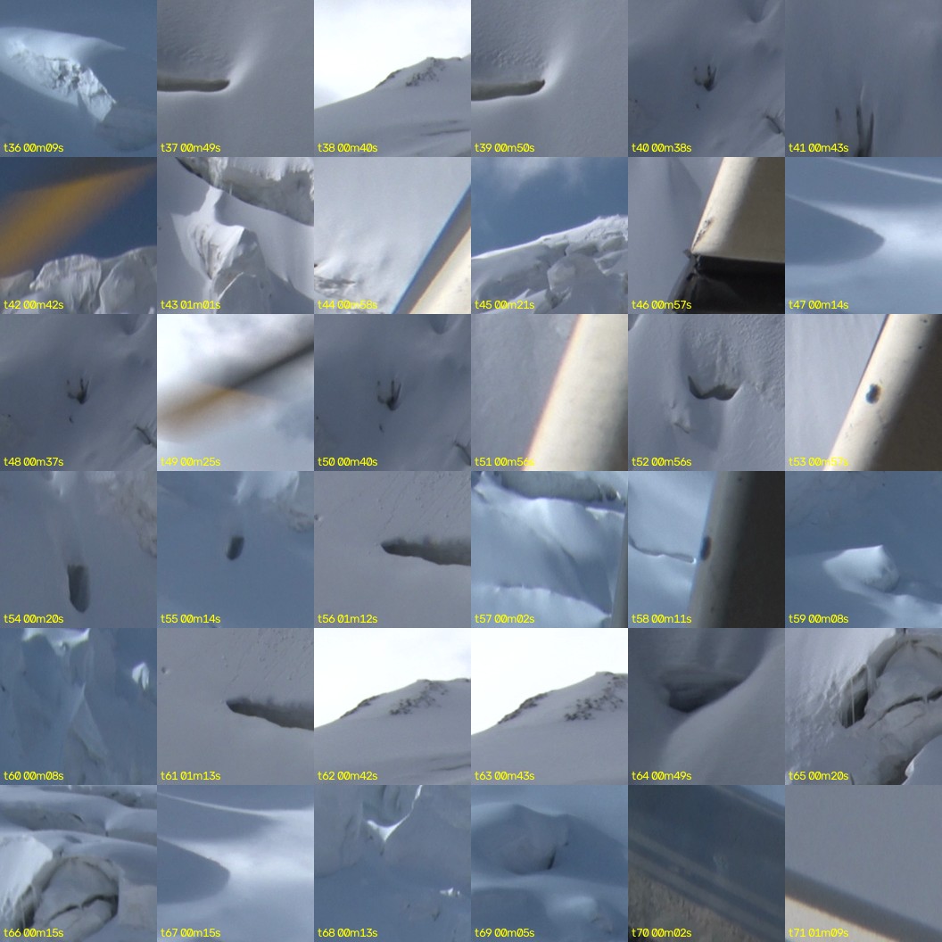 montage_01.jpg