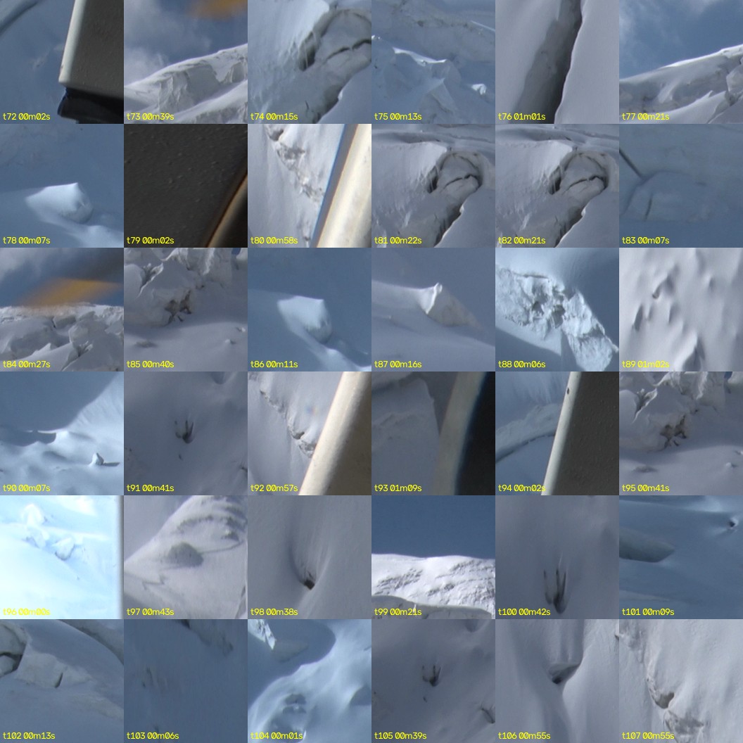montage_02.jpg