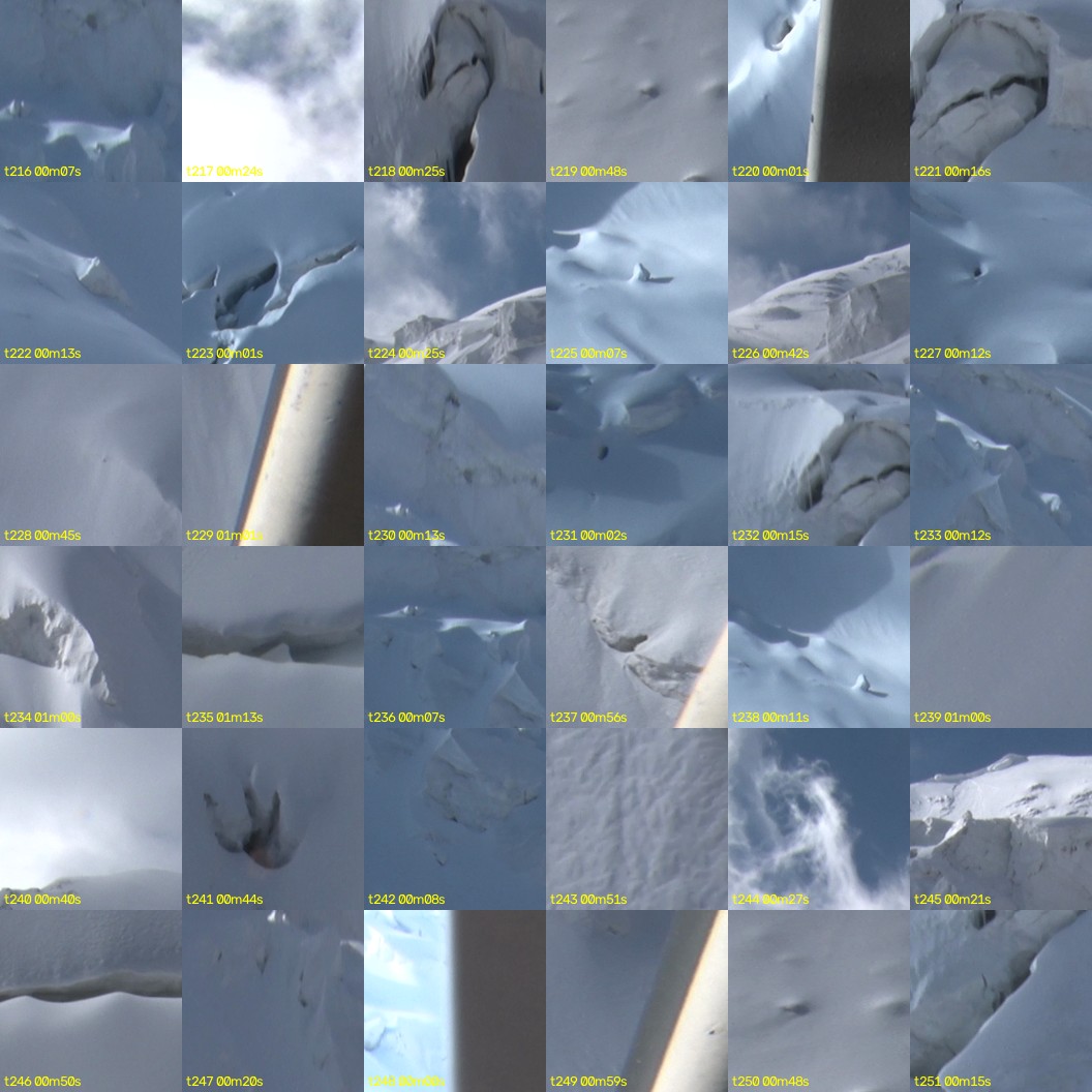 montage_06.jpg