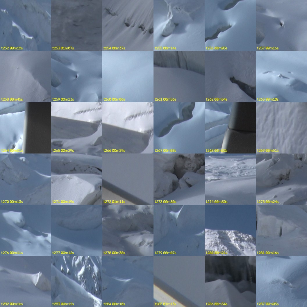 montage_07.jpg