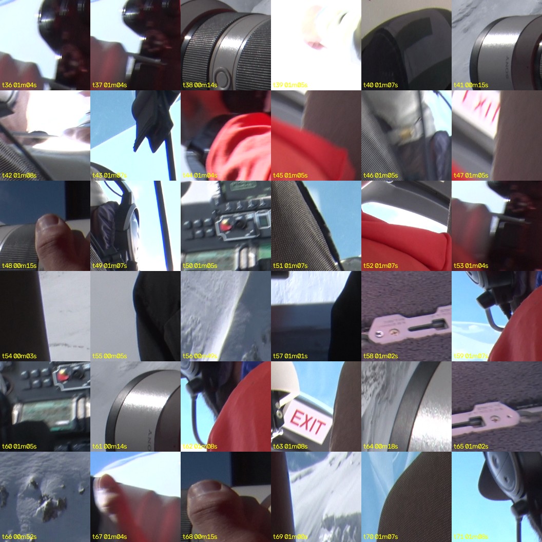 montage_01.jpg