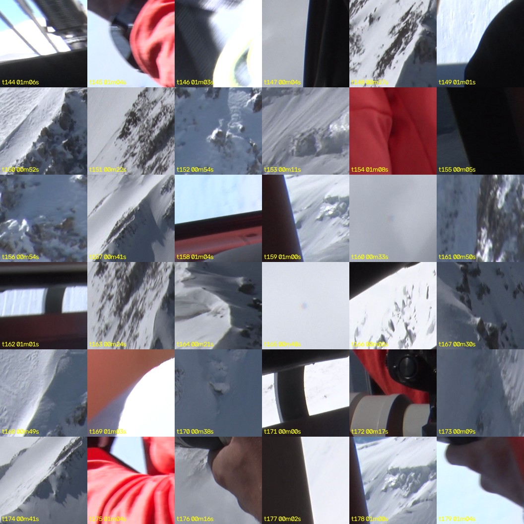 montage_04.jpg
