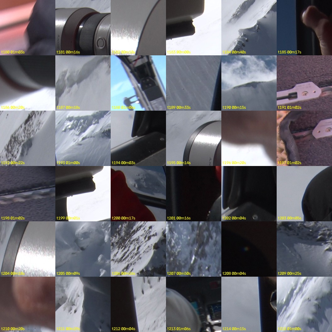 montage_05.jpg