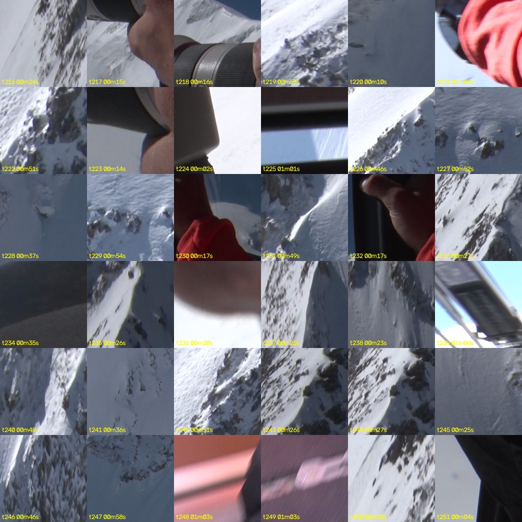 montage_06.jpg