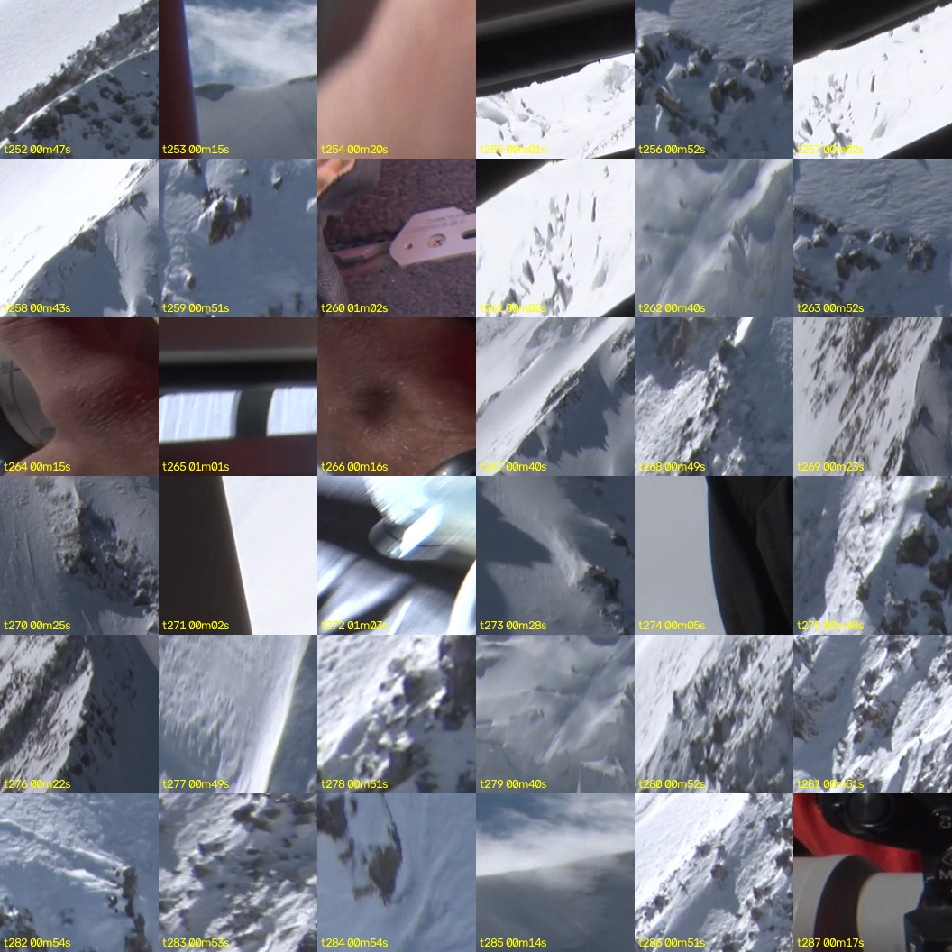 montage_07.jpg