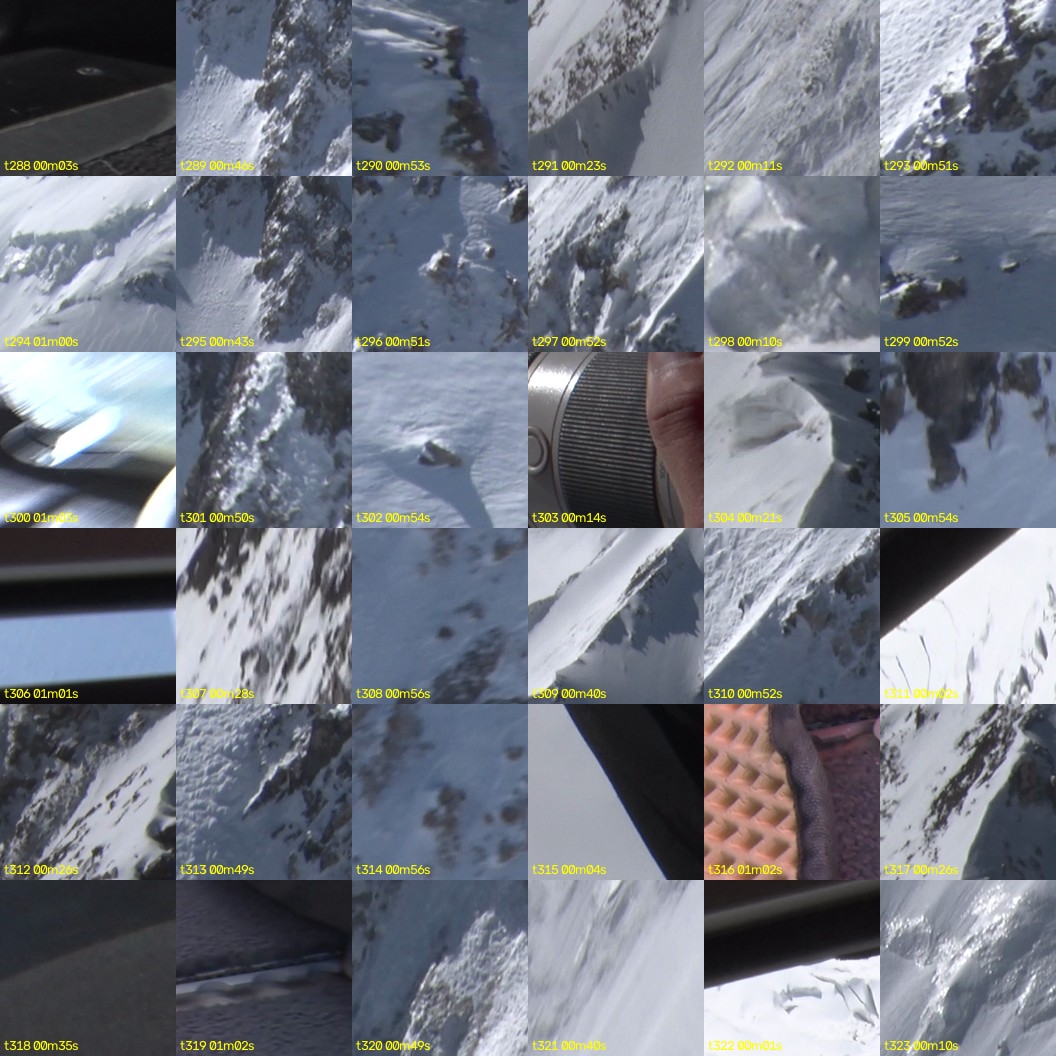 montage_08.jpg
